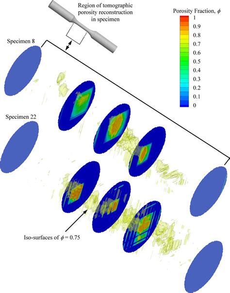 Example Of Internal Porosity Distributions Reconstructed From X Ray