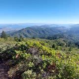 Temelpa Trail California Reviews Map Alltrails