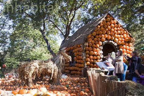 Dallas Arboretum Pumpkin Patch The 2012 Pumpkin Patch At T Flickr