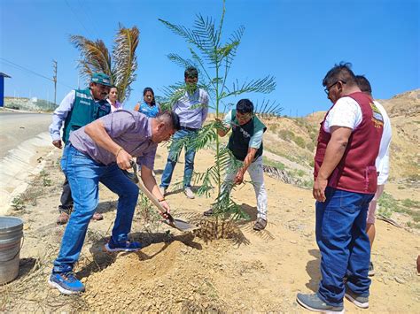 Serfor Perú on Twitter Piura más verde Calles y parques del