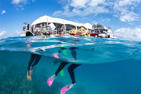 From Cairns Great Barrier Reef Cruise And Activity Platform Explore