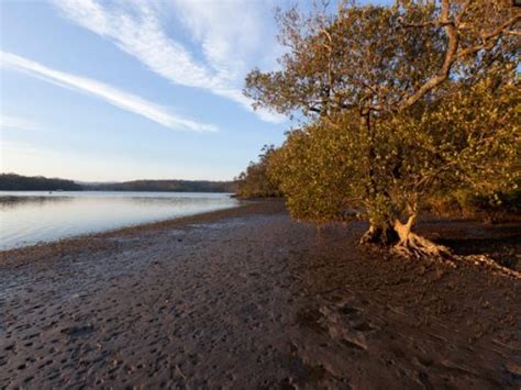 6 Best Batemans Bay Camping Spots - Australian Traveller