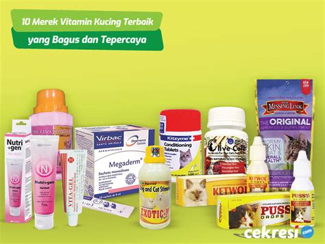 10 Merek Vitamin Kucing Terbaik Yang Bagus Dan Tepercaya