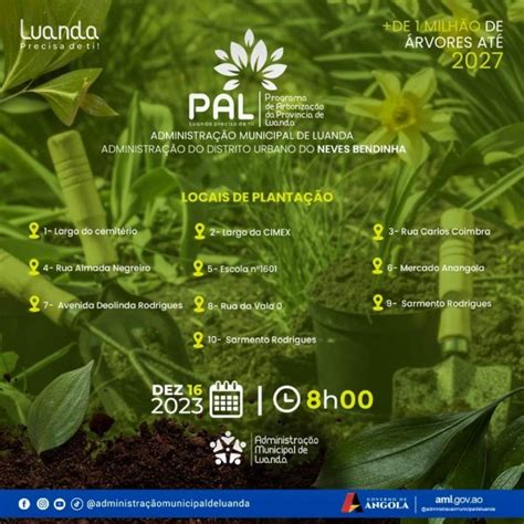 Governo Provincial De Luanda Not Cias Programa De Arboriza O Da