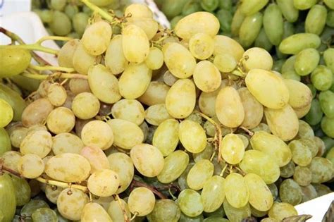 Uva Da Tavola Tutte Le Variet Bianche E Rosse Agrodolce