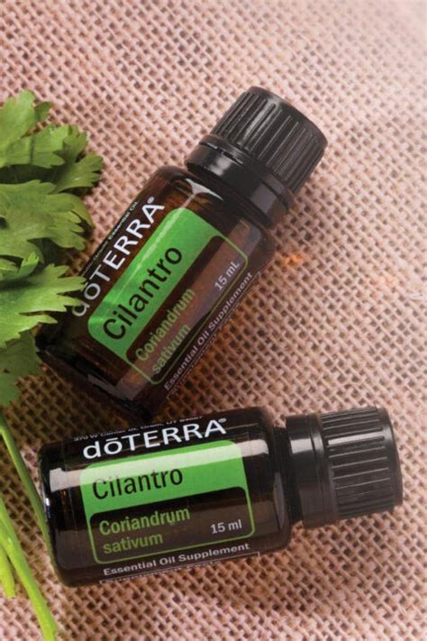 Korianderöl doTERRA Cilantro Magnolio de