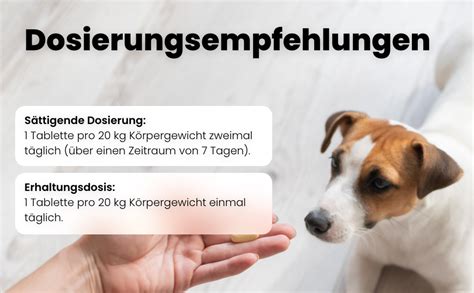 Salli Vet S Gelenktabletten F R Hunde Gesundheitsprodukte F R Hunde