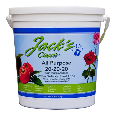 Best Water Soluble Micronutrients Your Best Life