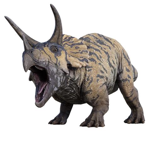 Download Triceratops, Dinosaur, Prehistoric. Royalty-Free Stock ...