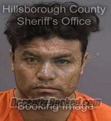 Recent Booking Mugshot For Alfredo Meza Gonzalez In Hillsborough