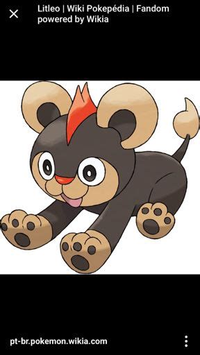 Litleo Wiki Pokemon Eclipse •rpg• Amino