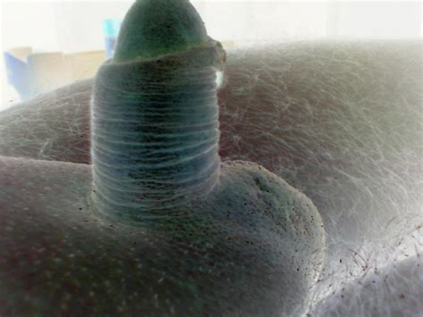 Old Pics Naked Slideshow Free The Gay HD Porn D XHamster XHamster