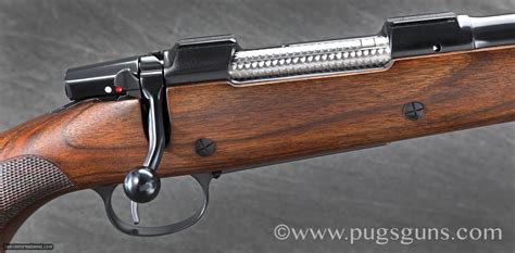 Cz 550 Custom