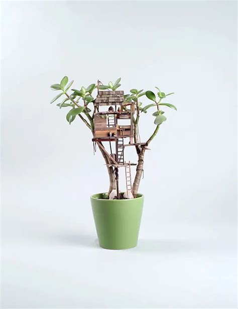 Artist Creates Miniature Tree Houses Sculpted Around House Plants