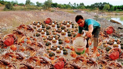 Wow Amazing Fishing Skill A Fisherman Found And Catch Lots Of Crabs