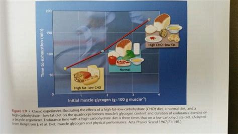 Fuel Your Workout With Complex Carbs