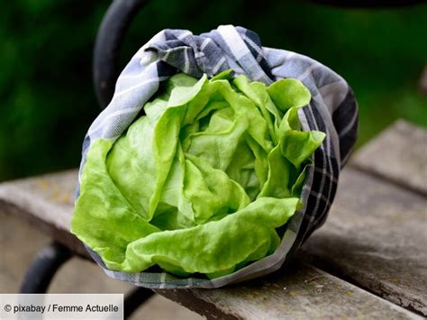 Comment redonner du croquant à une salade flétrie Femme Actuelle Le MAG