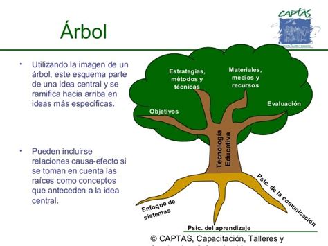 Mapa Conceptual De Arbol Actualizado Septiembre Porn Sex Picture