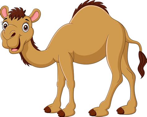 Camel Cartoon Clip Art