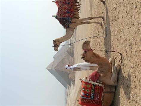 Excursion Priv E D Une Journ E Aux Pyramides De Gizeh Avec Promenade