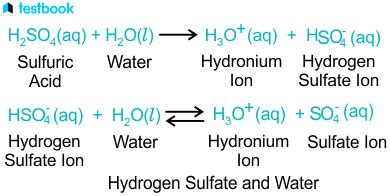 Hydrogen Sulfate Formula Structure Properties Applications