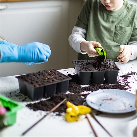 Cells Trays Cells Seedling Start Trays With Drain Etsy