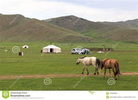 La Vie De Nomade Du Mongolian Sur La Savane Photo Stock Image Du