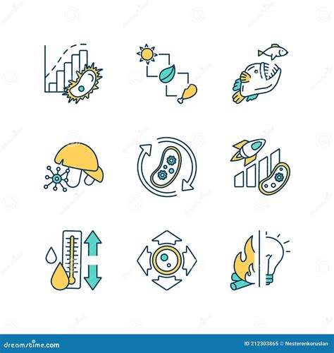 Biological Processes Rgb Color Icons Set Stock Vector Illustration Of