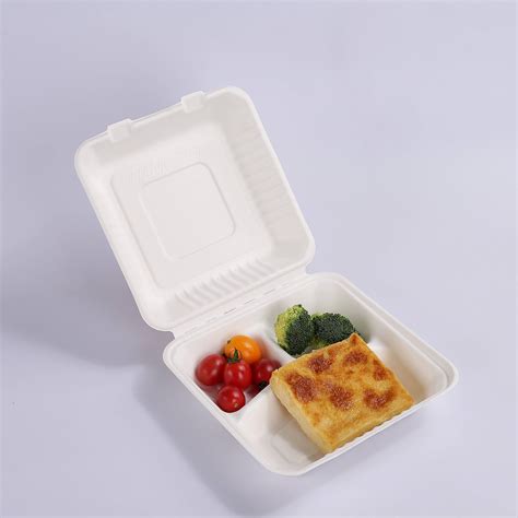 Eco Friendly Disposable Biodegradable Take Away Food Container