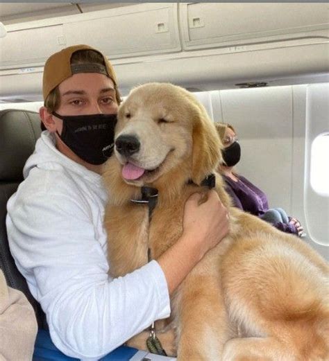 A Man Wearing A Face Mask While Sitting In An Airplane With His Large