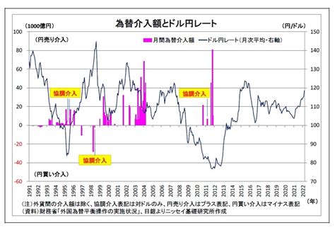 為替介入の検索結果 Yahoo きっず検索