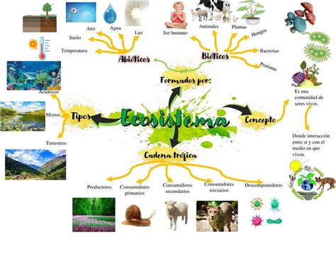 Mapa Mental Ecosistemas Terrestres Nbkomputer