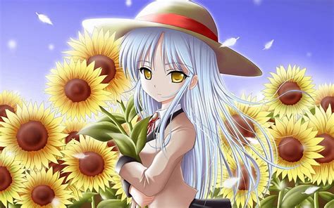 Anime Sunflowers Field Girl Stroll HD Wallpaper Pxfuel