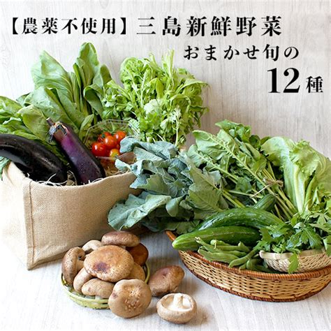 旬の三島野菜12品 Lサイズ おまかせ季節の野菜セット 農薬不使用 朝採り 産地直送 野菜セット お中元 お歳暮 社会貢献 社会福祉 Sdgs