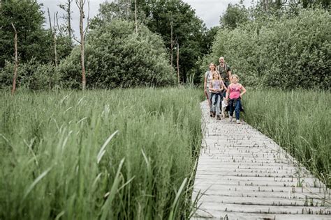 Special Op Pad In De Vlaamse Kempen Wandelmagazine Nu