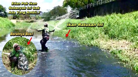 JALA IKAN DI SUNGAI DANGKAL GILA IKANNYA BANYAK BANGET BOS YouTube