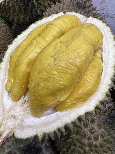 Mao Shan Wang Musang King Msw Kg Fresh Durian