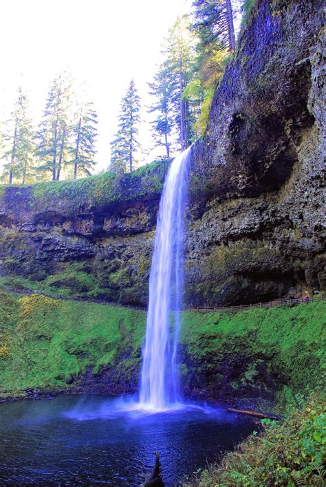 Everything Oregon (and Beyond): Silver Falls State Park: Trail of Ten Falls