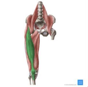 Thomas Test Physiopedia