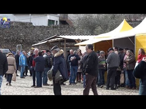 Onda Livre Tv Feira Do Folar Em Vilarinho De Agroch O Youtube