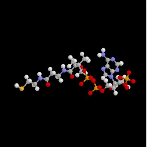 The 3d Structure Of Coenzyme A Generated By Corina Download Scientific Diagram