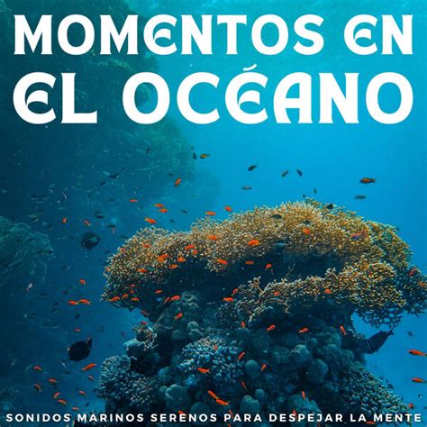 Momentos En El Océano Sonidos Marinos Serenos Para Despejar La Mente