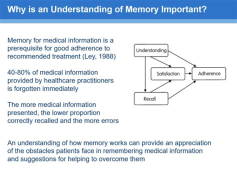 Psychology Short Term Memory Flashcards Quizlet