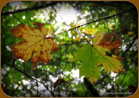 Inviting God to Help Us Navigate Uncharted Territory – Wendy L. Macdonald