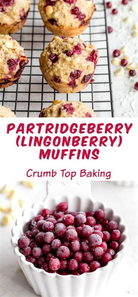 Partridgeberry Muffins (Lingonberry Muffins) | Recipe | Lingonberry recipes, Lingonberry muffins ...