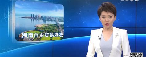 Cetv E视界 崔凡 更便利、更自由！海南自由贸易港法实施 对外经济贸易大学新闻网