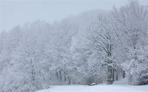 Unwetterwarnung In Bayern Hier Drohen Heute Starker Schneefall Und