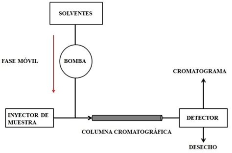 Cromatografía Líquida De Alta Eficacia Hplc Fundamento Equipo Tipos