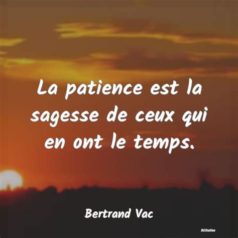 La Patience Est La Sagesse De Ceux Qui En Ont Le T