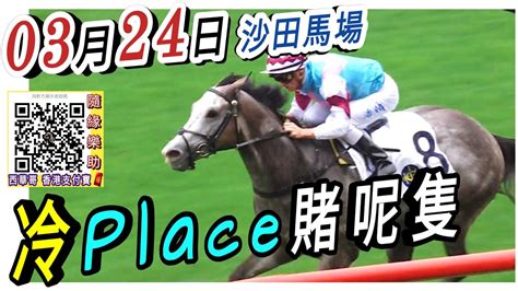 潘頓💥一出即搏 布文👌多多益善 湯普新👍換人有計2024年3月24日 沙田馬場草地日賽 香港賽馬 Youtube